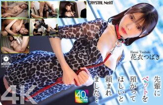 CRNX-254 Tsubaki Hanai Big tits JAV